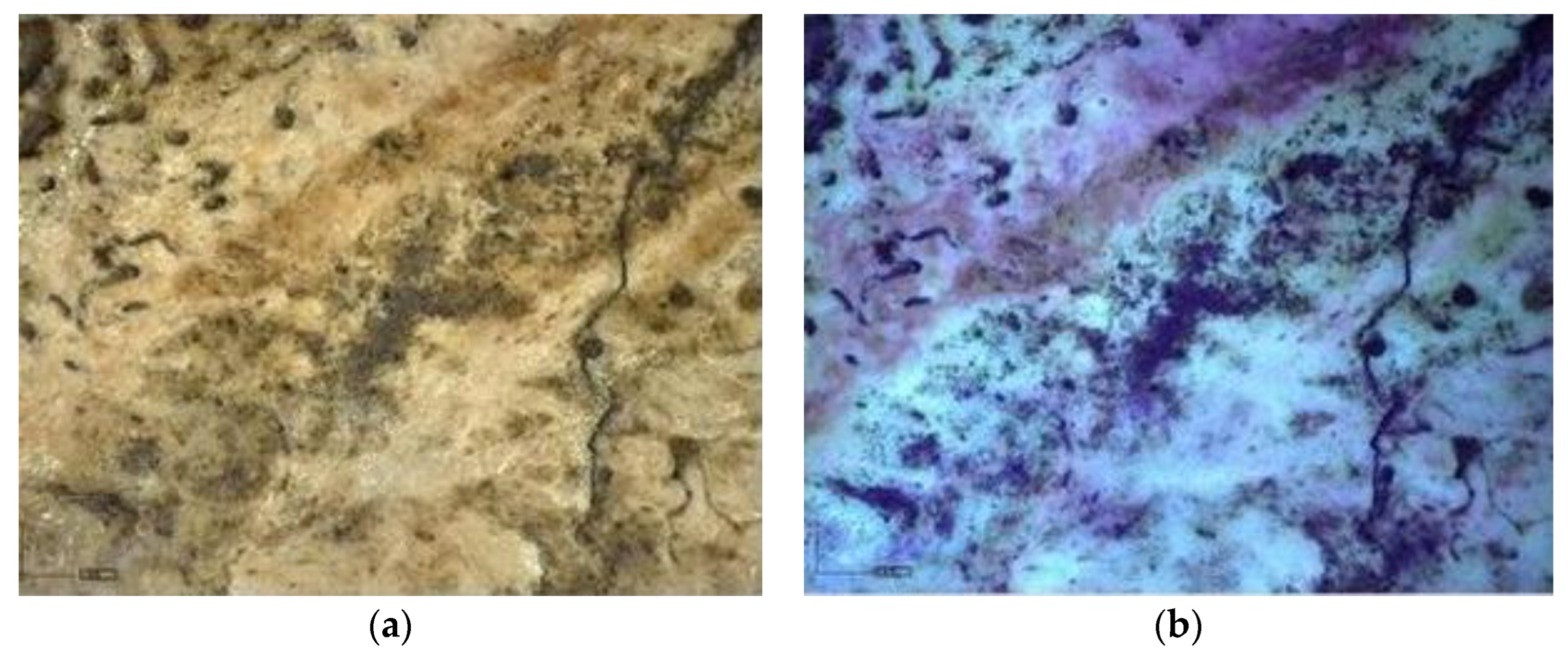 Heritage 06 00188 g019 Heritage 06 00188 g019