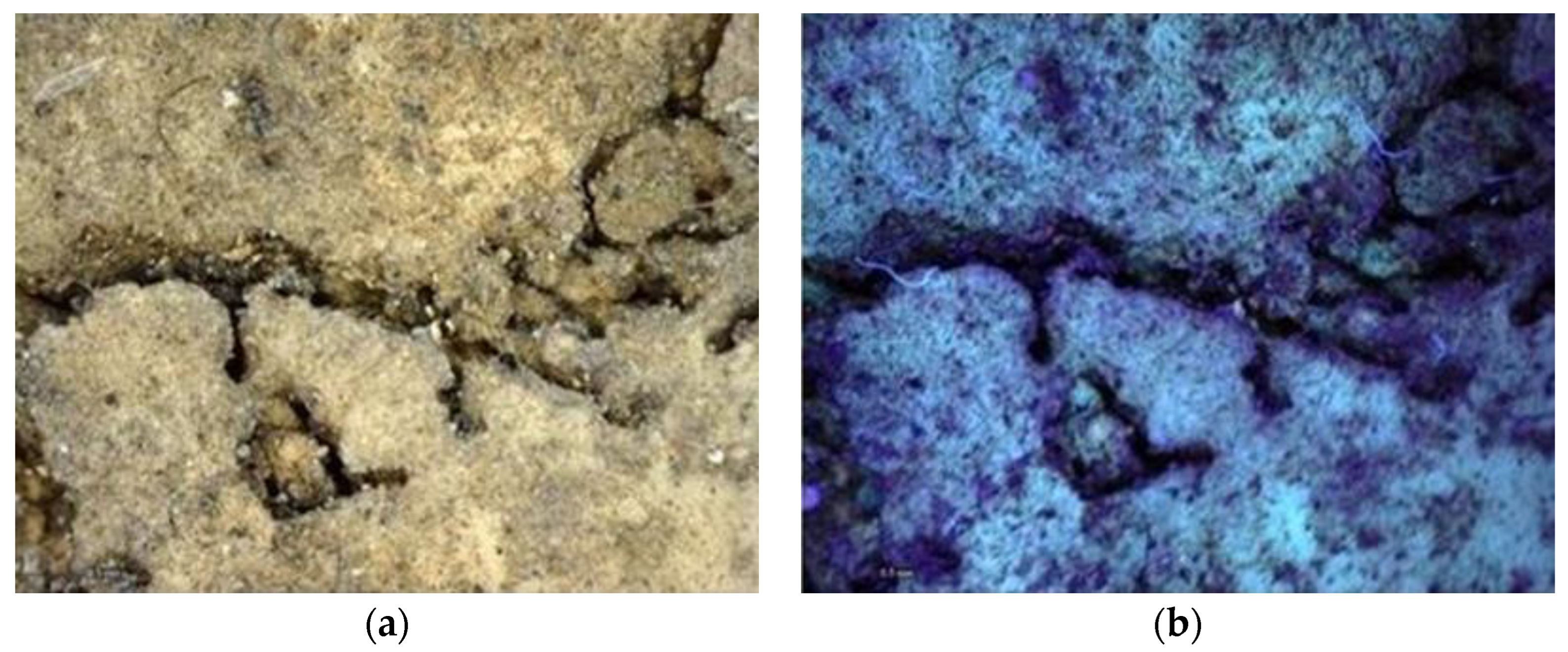 Heritage 06 00188 g020 Heritage 06 00188 g020