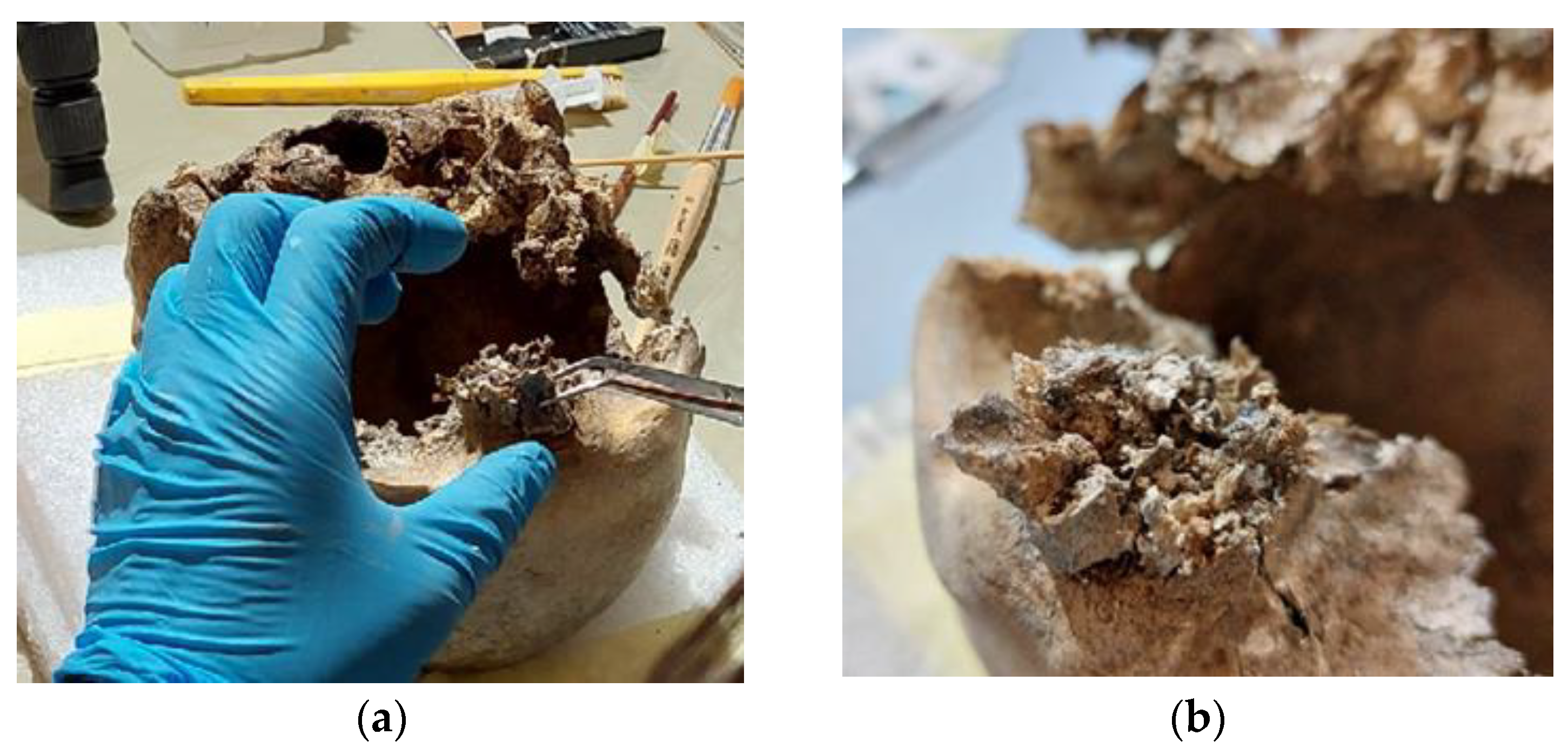 Heritage 06 00188 g034 Heritage 06 00188 g034