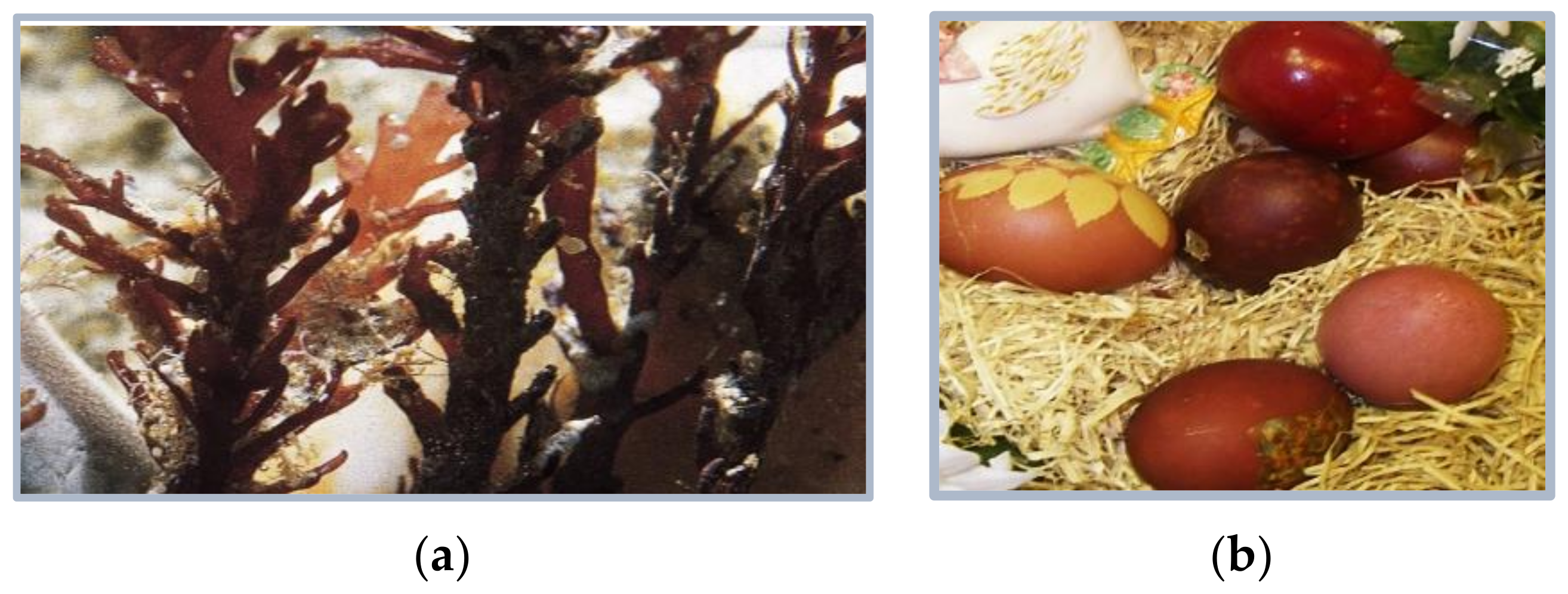 Heritage 06 00189 g005