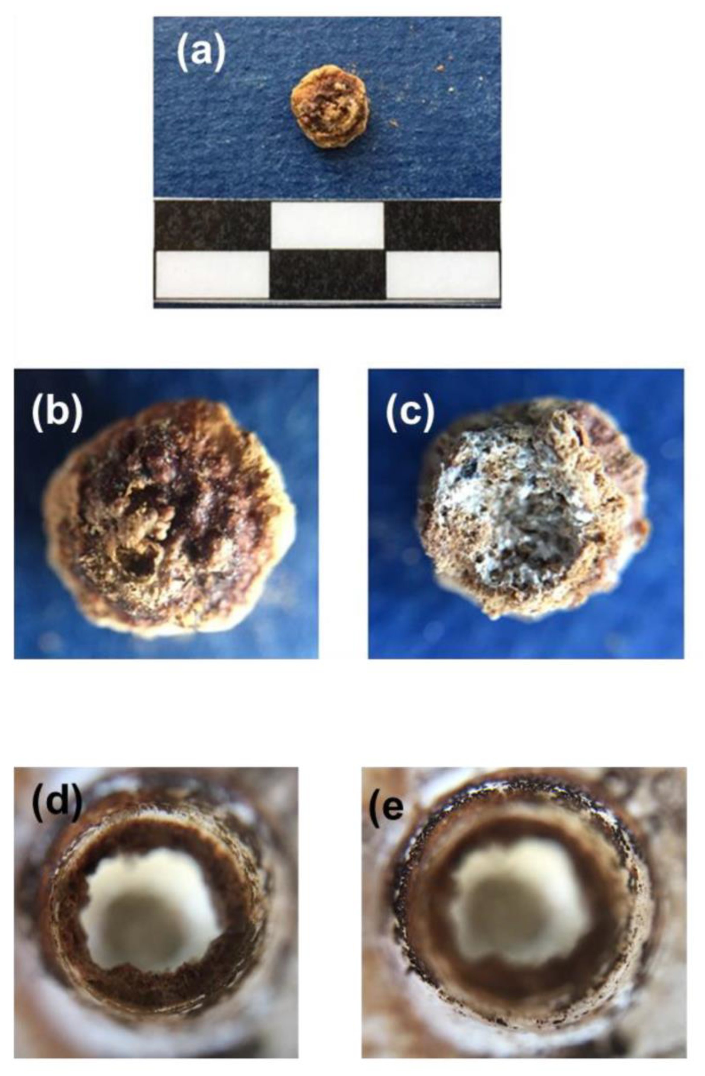 Heritage 06 00236 g003