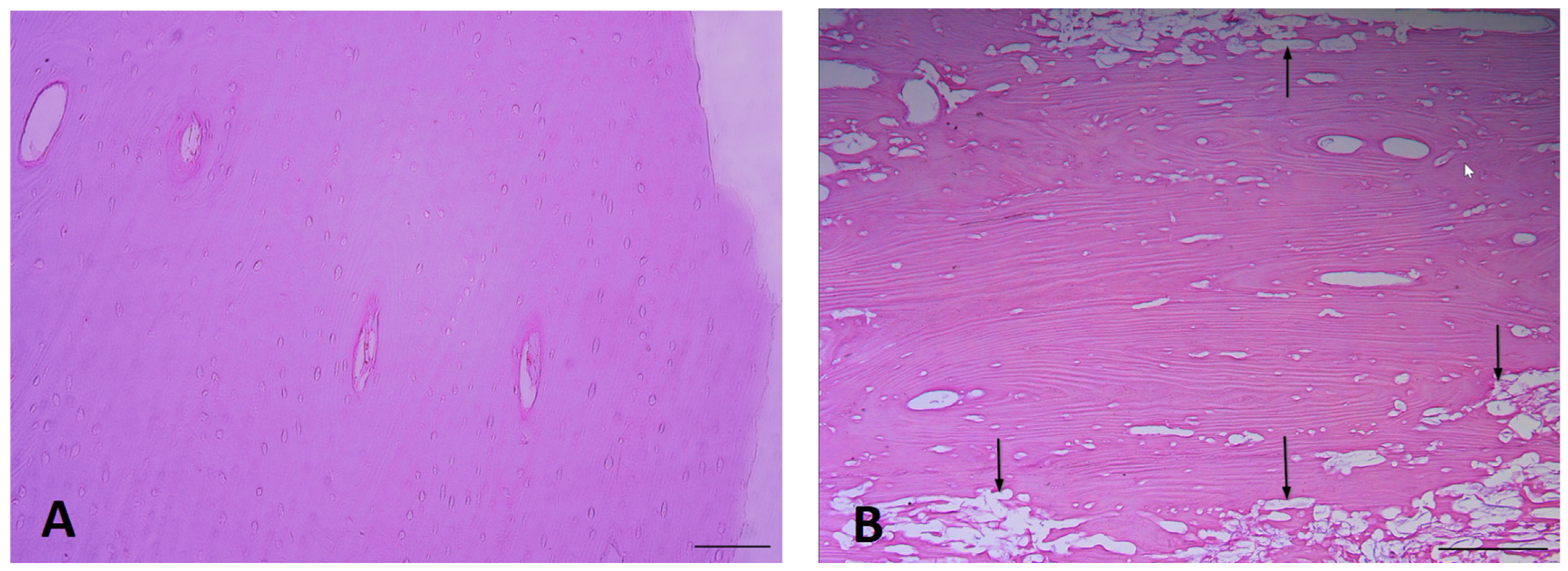 Heritage 06 00281 g002