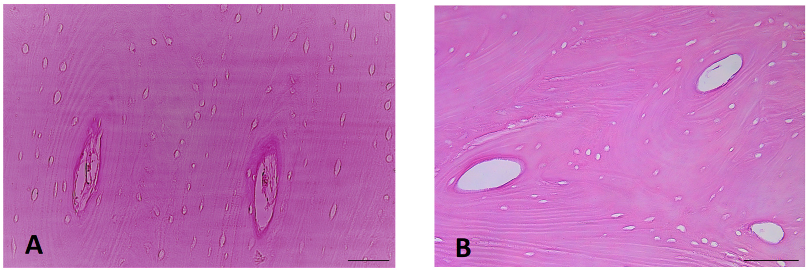 Heritage 06 00281 g003