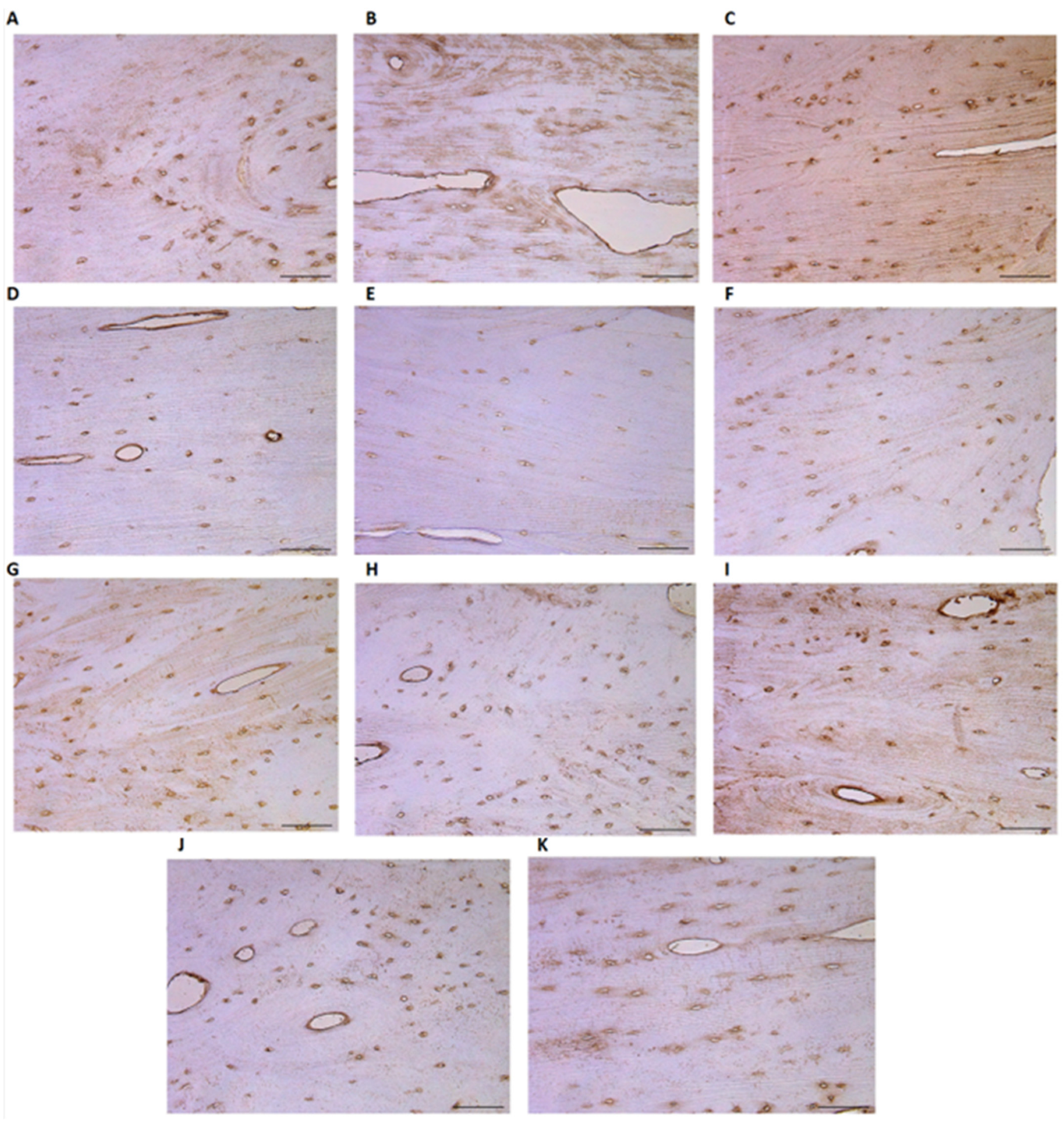 Heritage 06 00281 g004