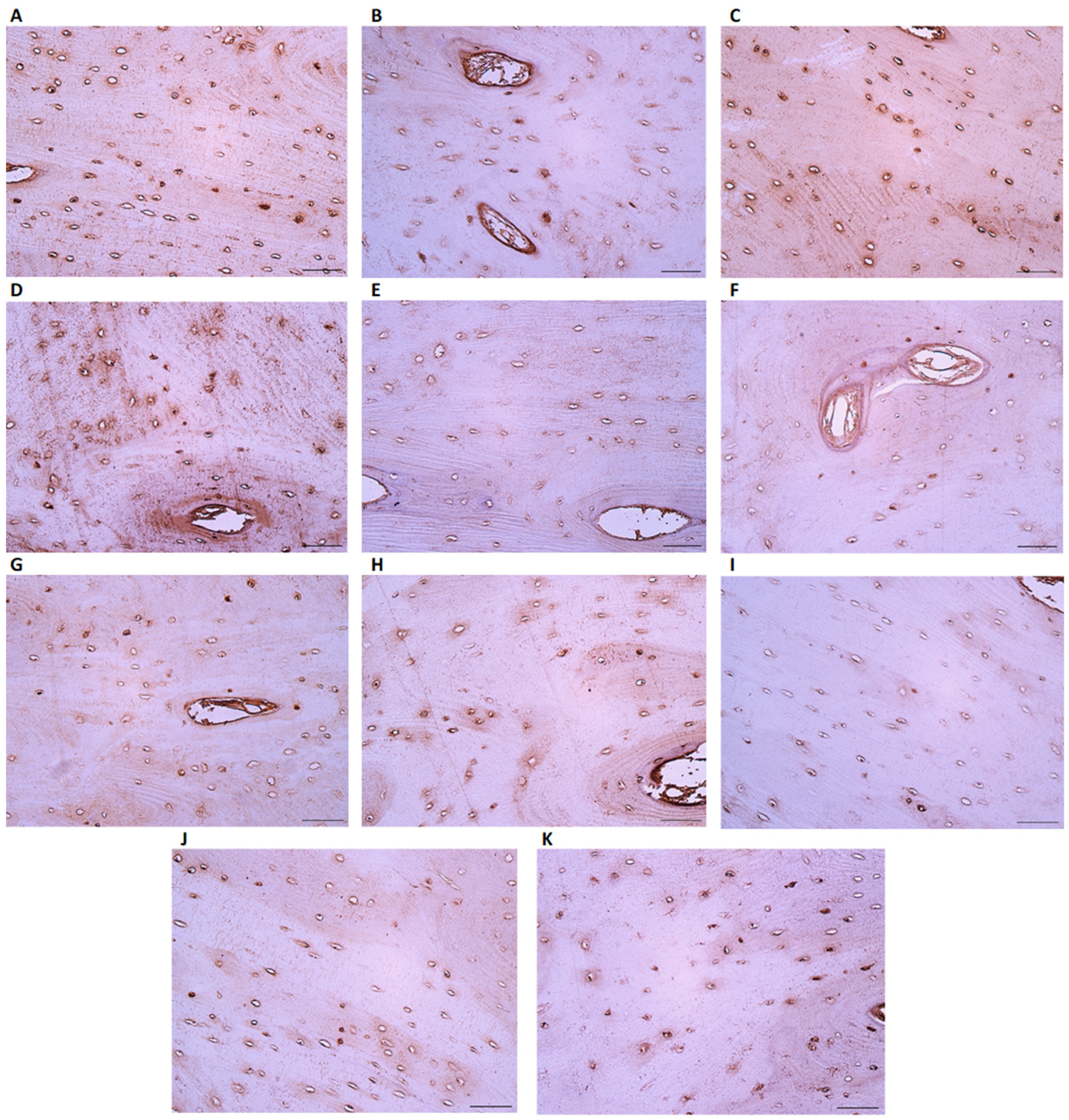 Heritage 06 00281 g005