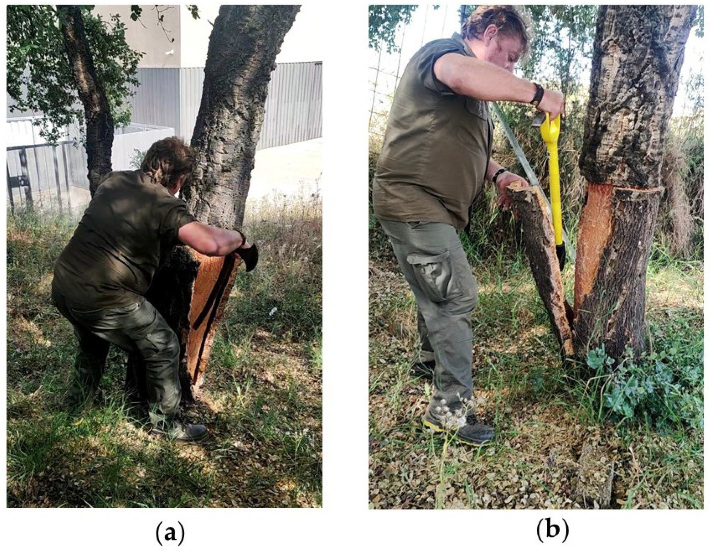 Heritage 06 00282 g004