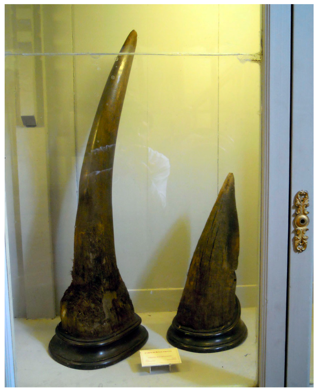 Heritage 06 00305 g001 Heritage 06 00305 g001