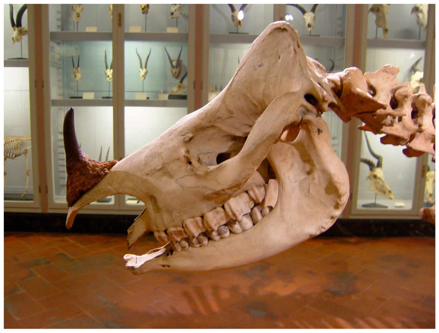 Heritage 06 00305 g002 Heritage 06 00305 g002