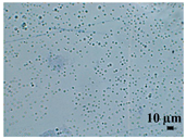 Heritage 06 00331 i009