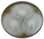 Heritage 06 00331 i014