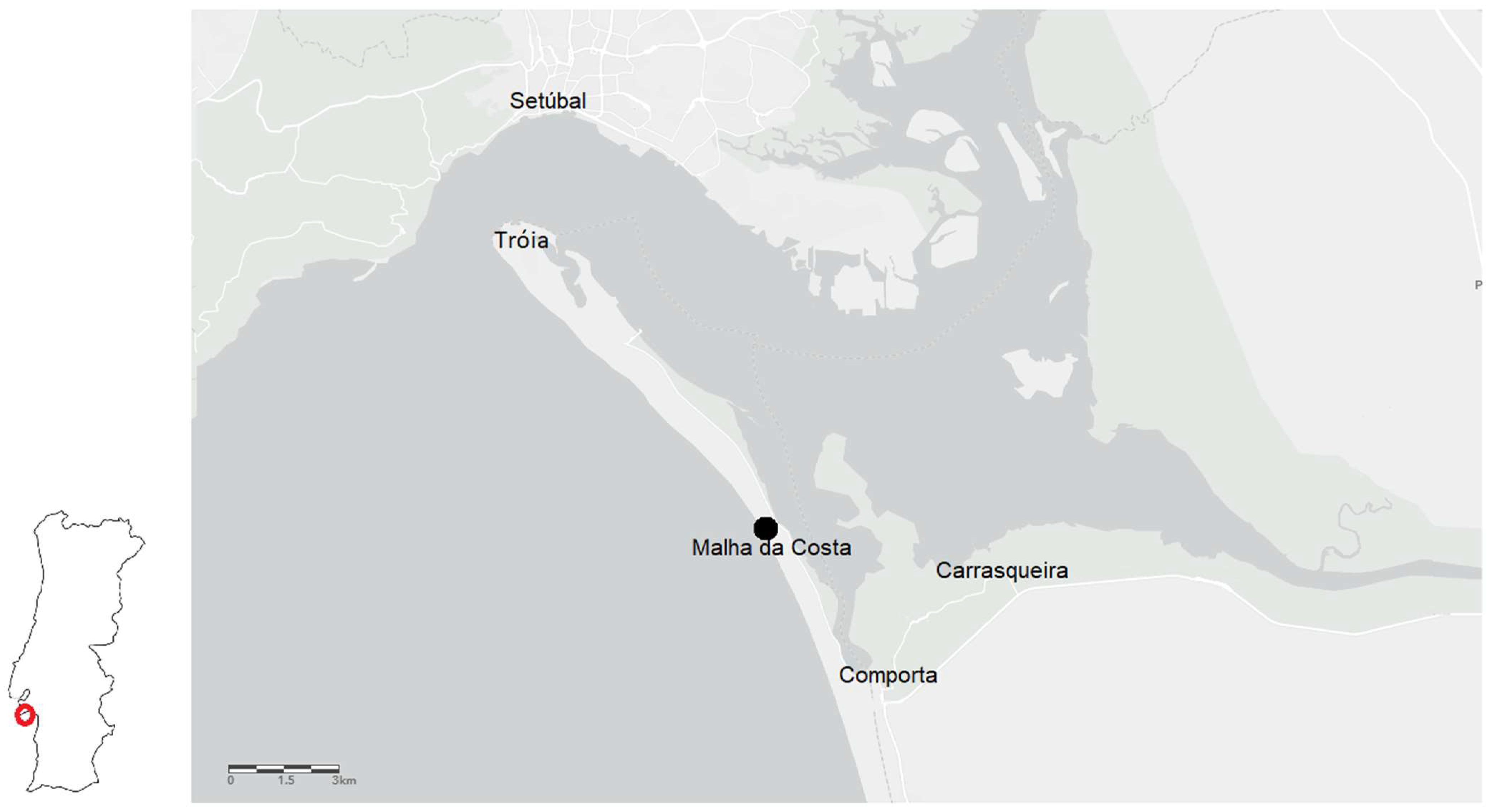 Heritage 06 00340 g001