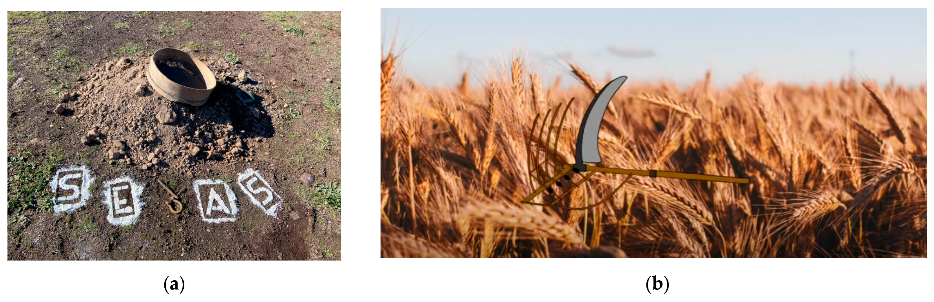 Heritage 06 00368 g004