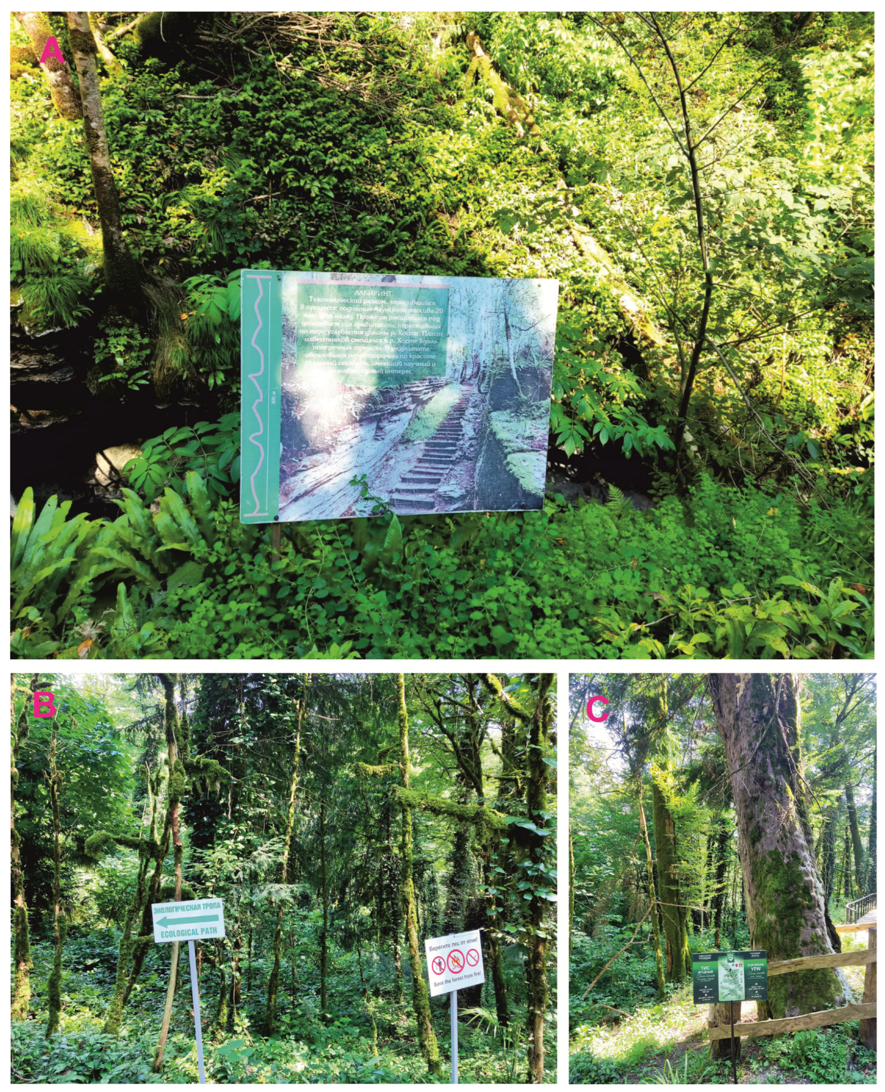 Heritage 06 00369 g005