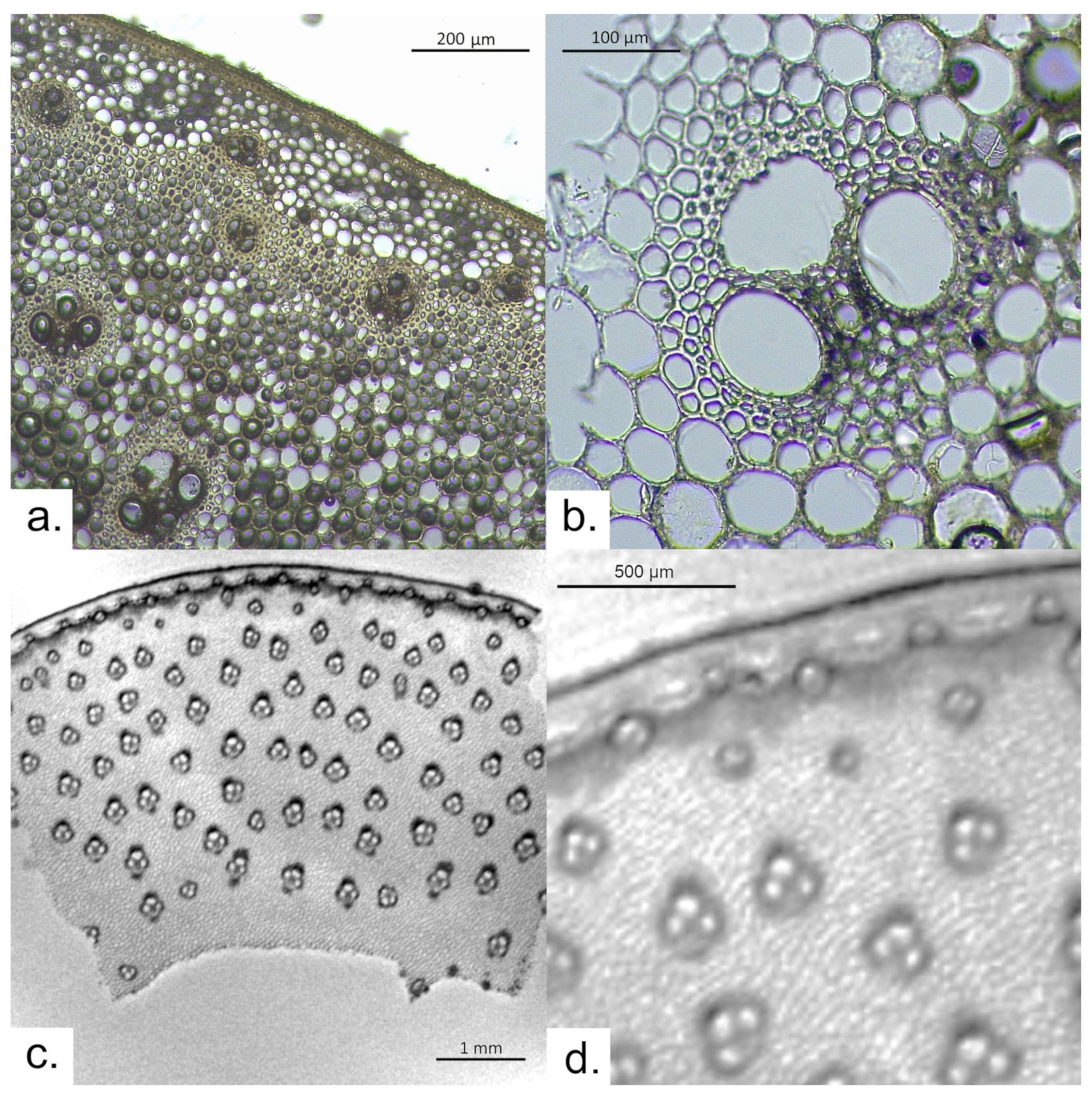 Heritage 06 00375 g002