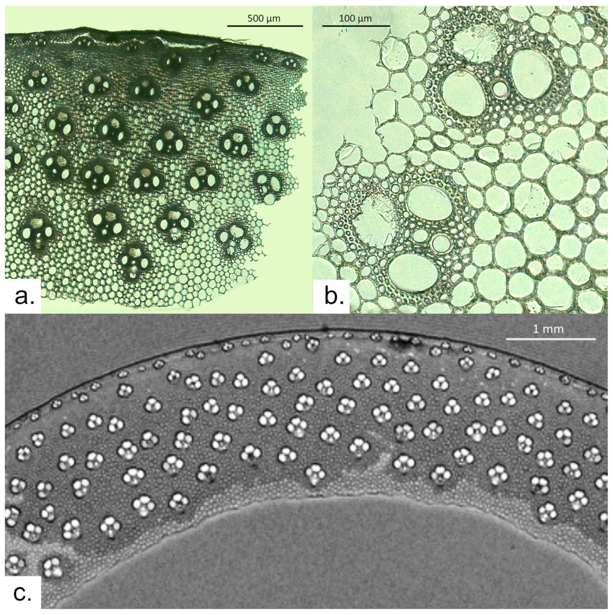 Heritage 06 00375 g003