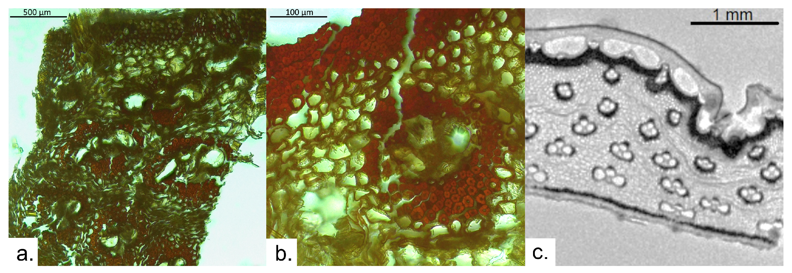 Heritage 06 00375 g004