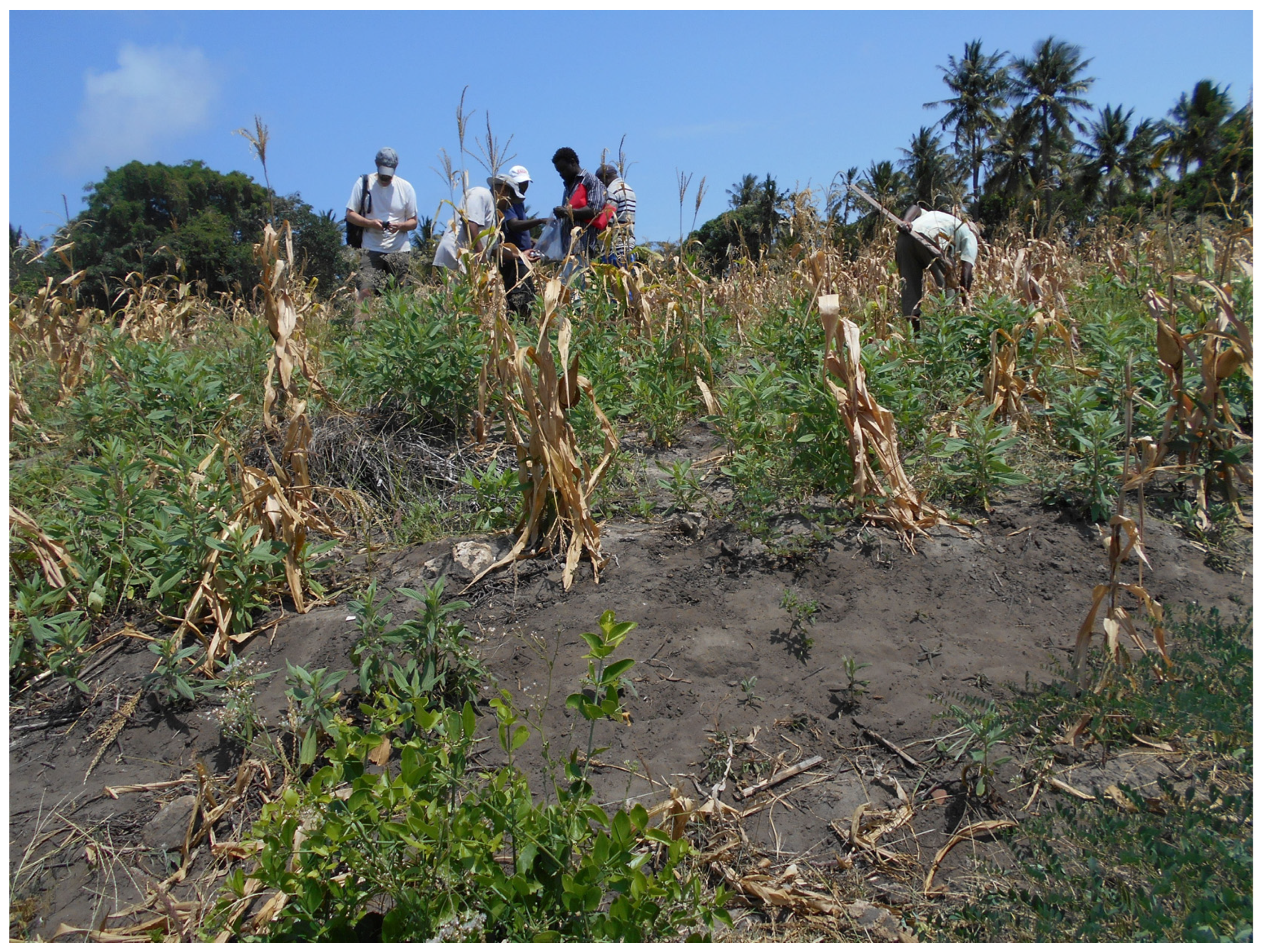 Heritage 06 00386 g004