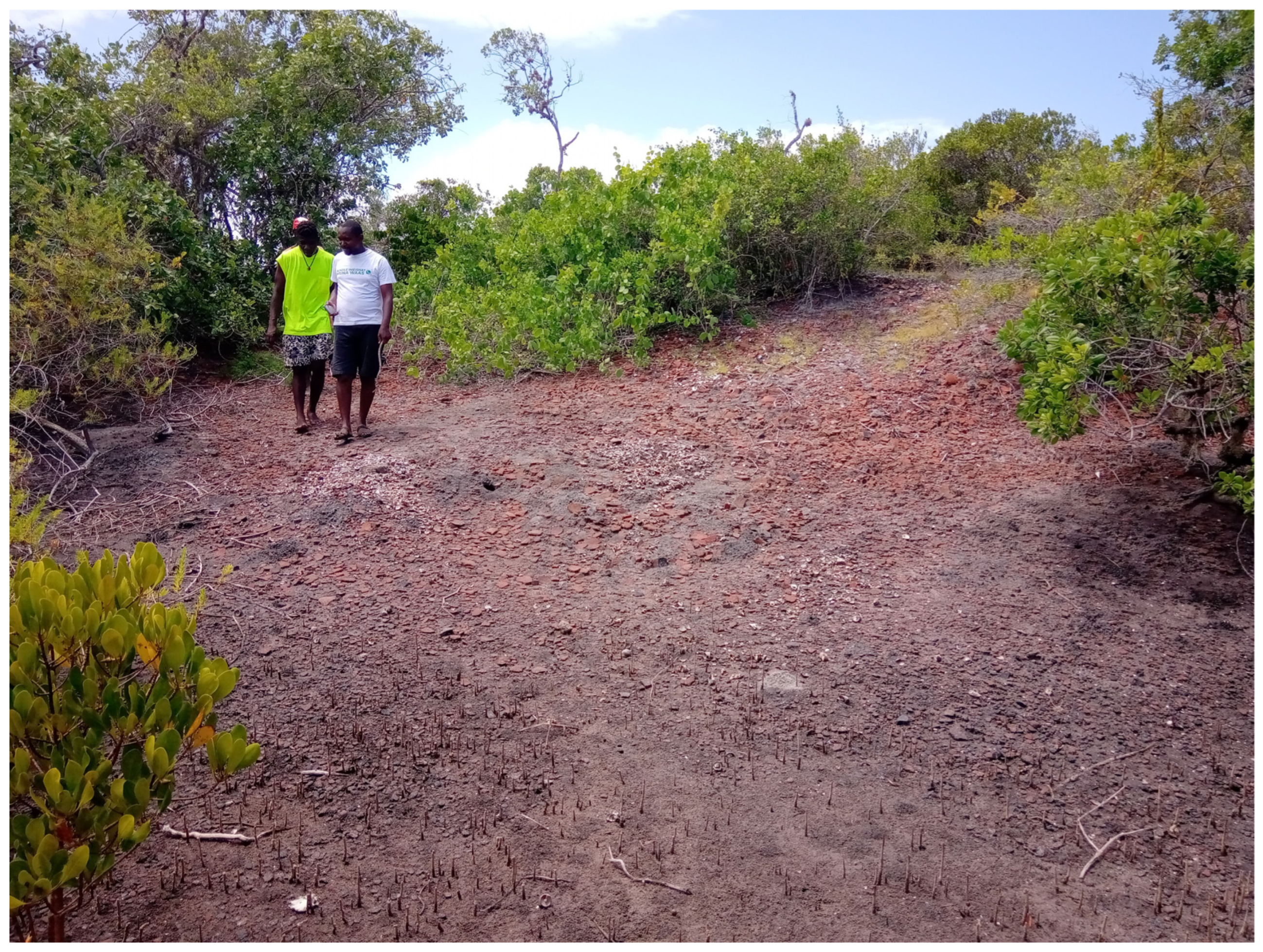 Heritage 06 00386 g007