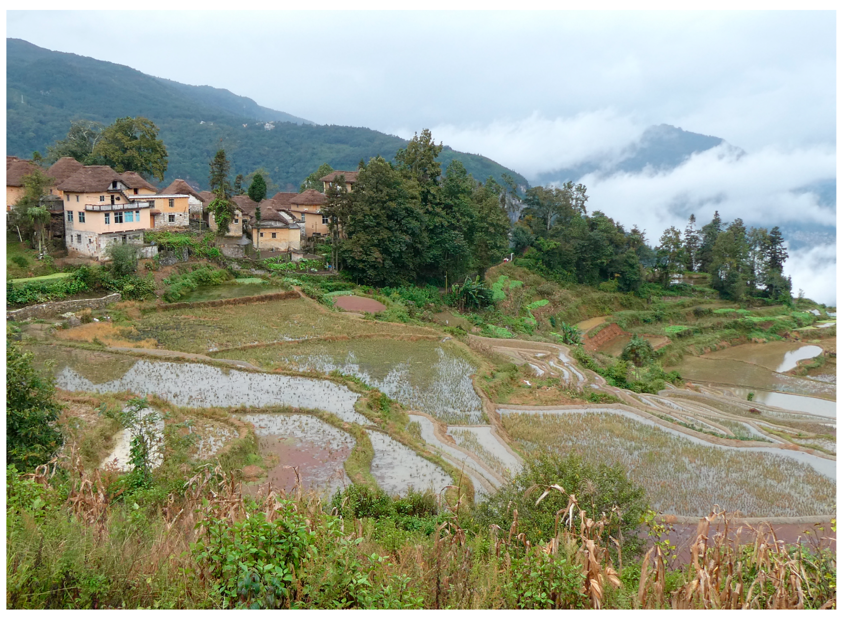 Heritage 06 00404 g006