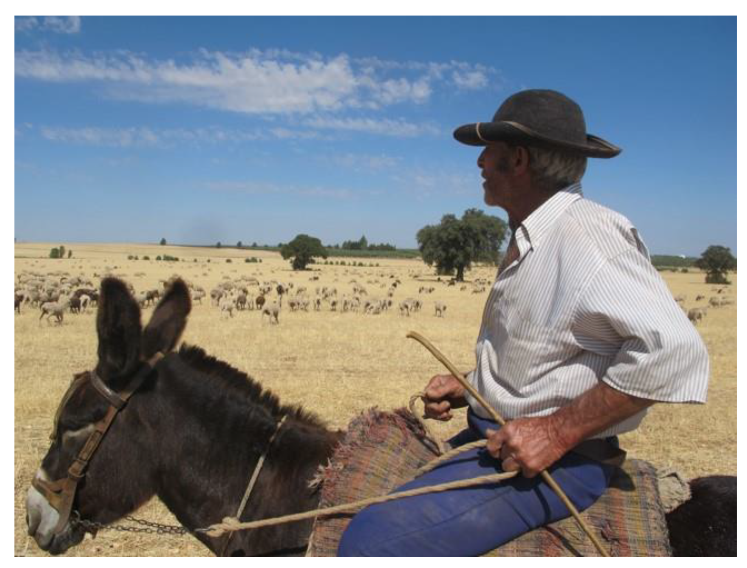 Heritage 07 00012 g0a1 Heritage 07 00012 g0a1