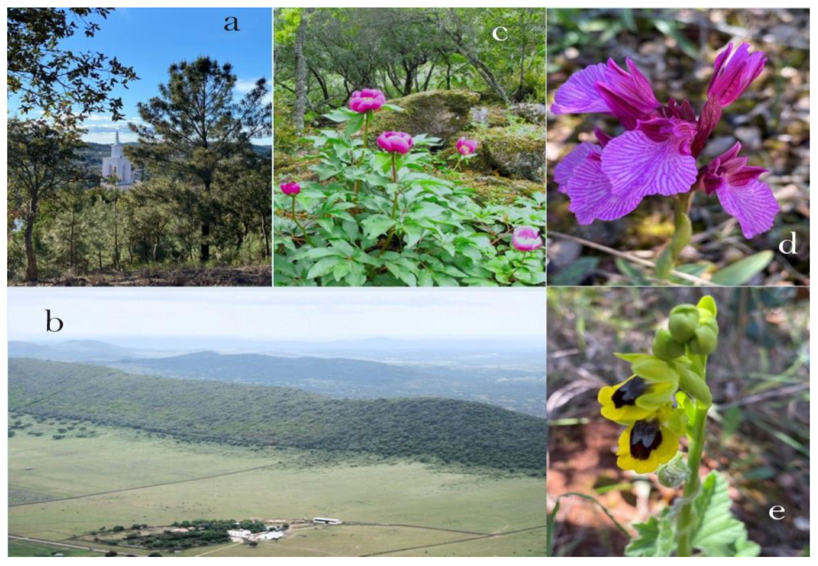 Heritage 07 00012 g0a2 Heritage 07 00012 g0a2