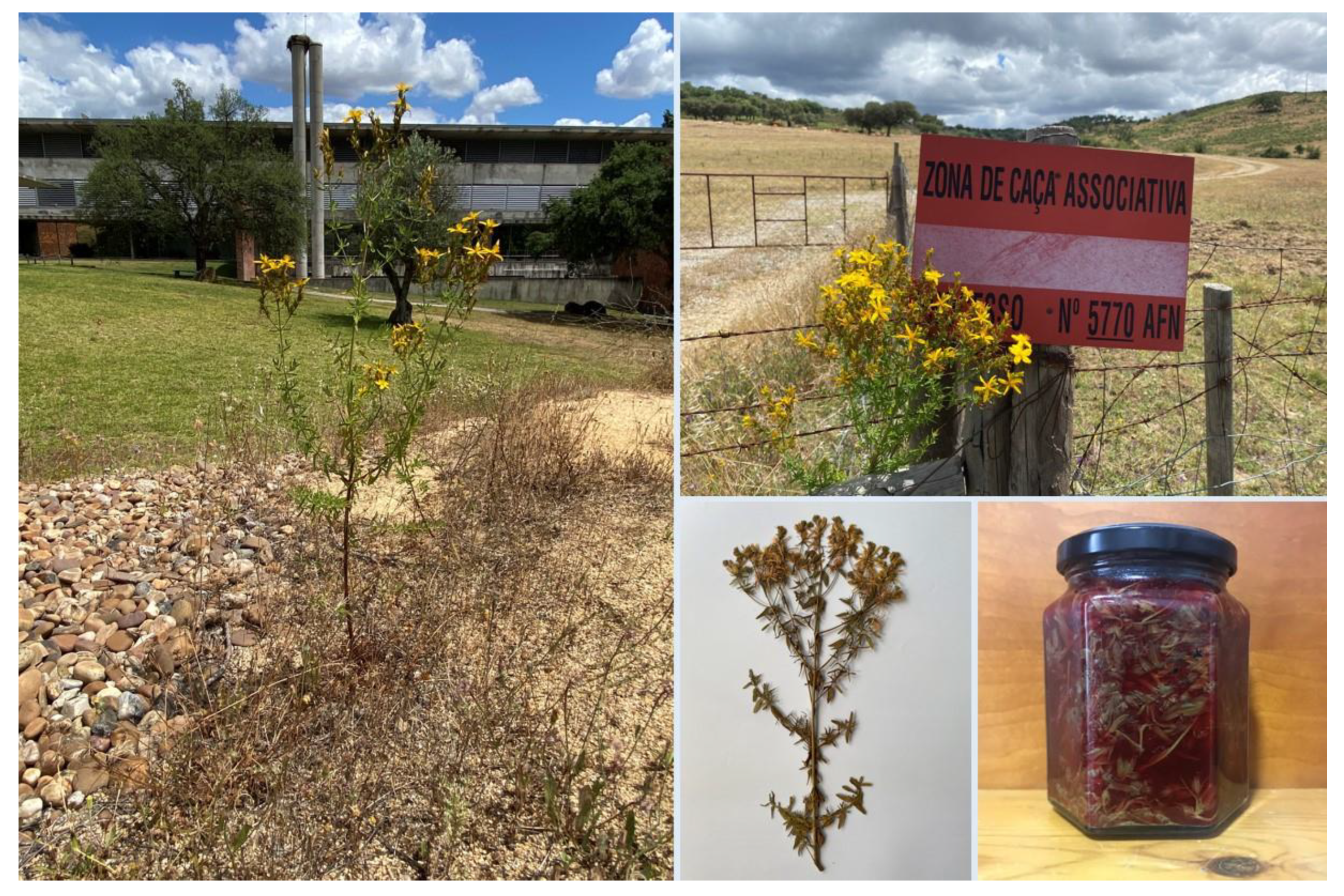 Heritage 07 00012 g0a3 Heritage 07 00012 g0a3