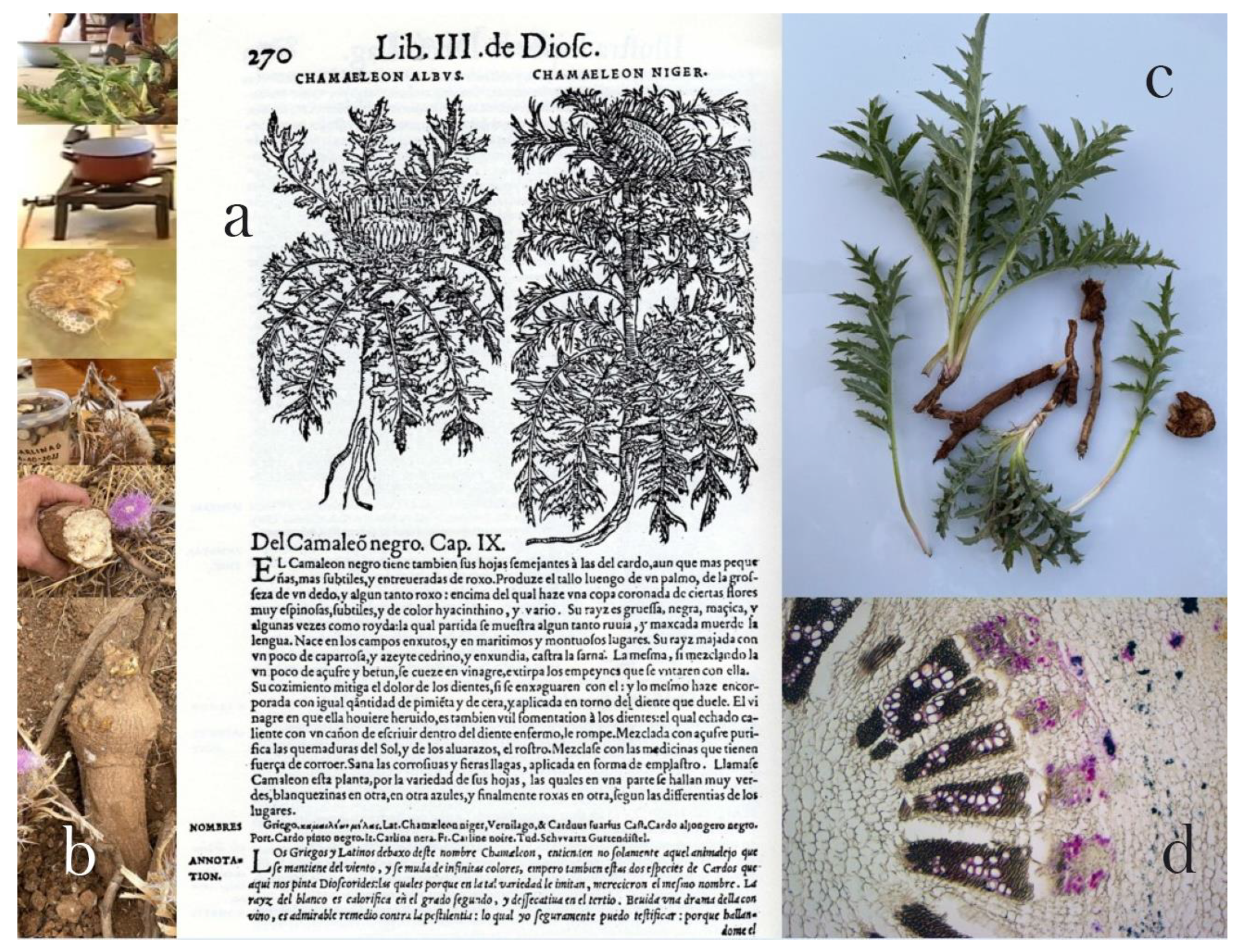 Heritage 07 00012 g0a4 Heritage 07 00012 g0a4