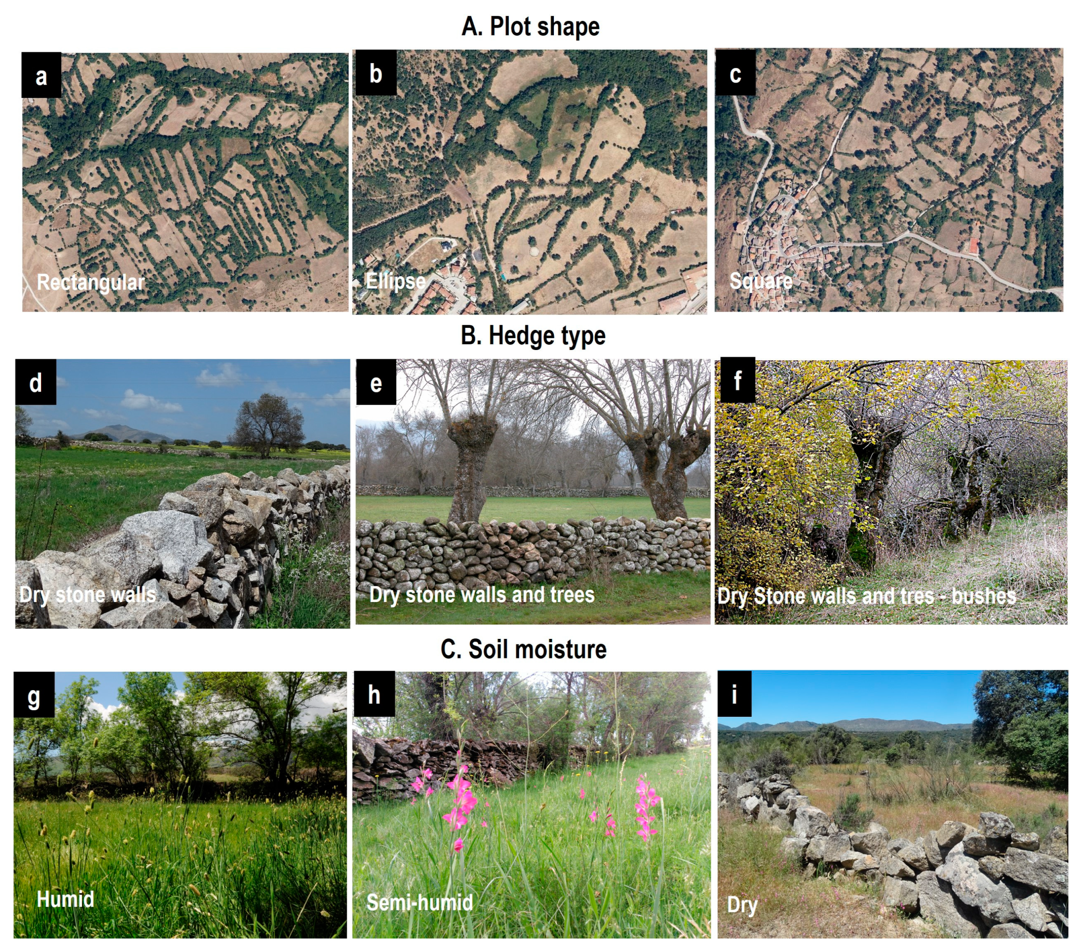 Heritage 07 00041 g002