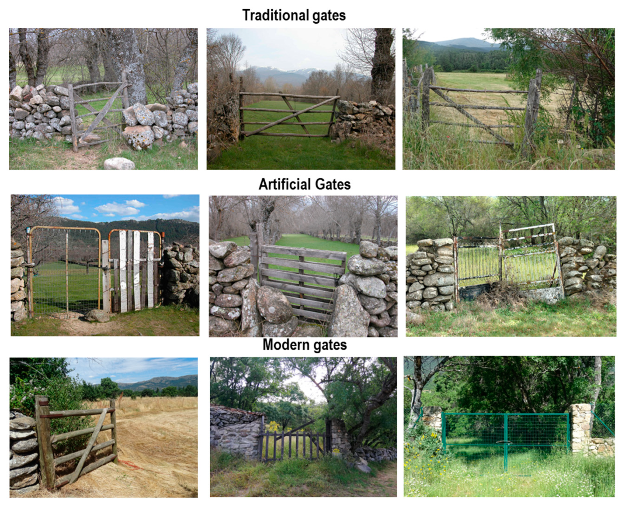 Heritage 07 00041 g007