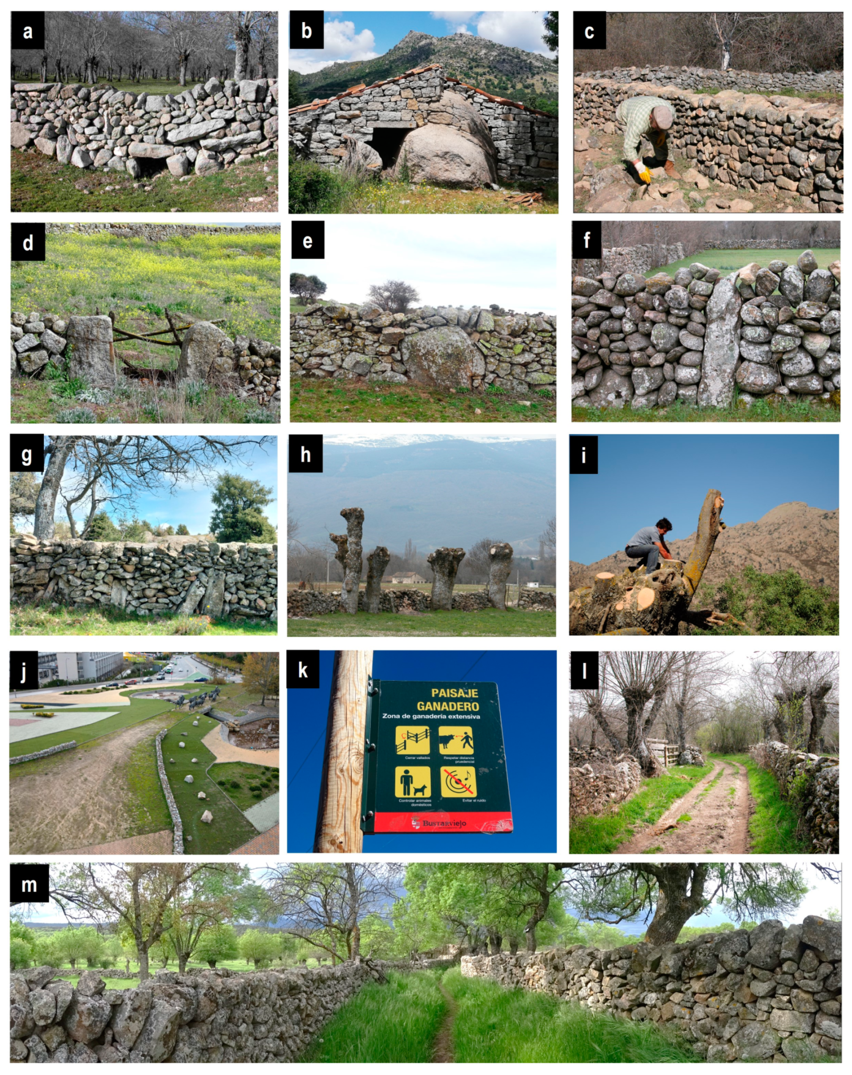 Heritage 07 00041 g009