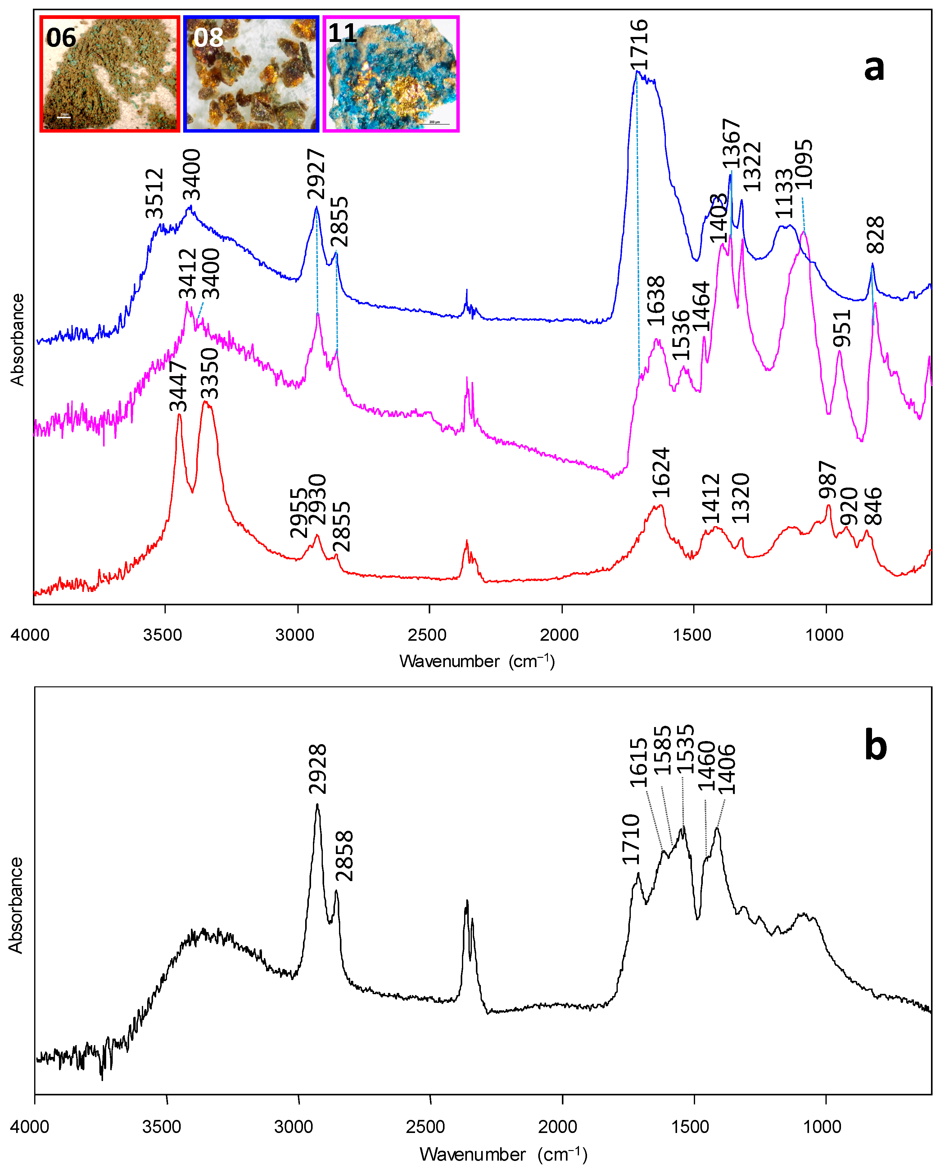 Polychrome Bronze Sculpture: A Multi-Analytical Approach to