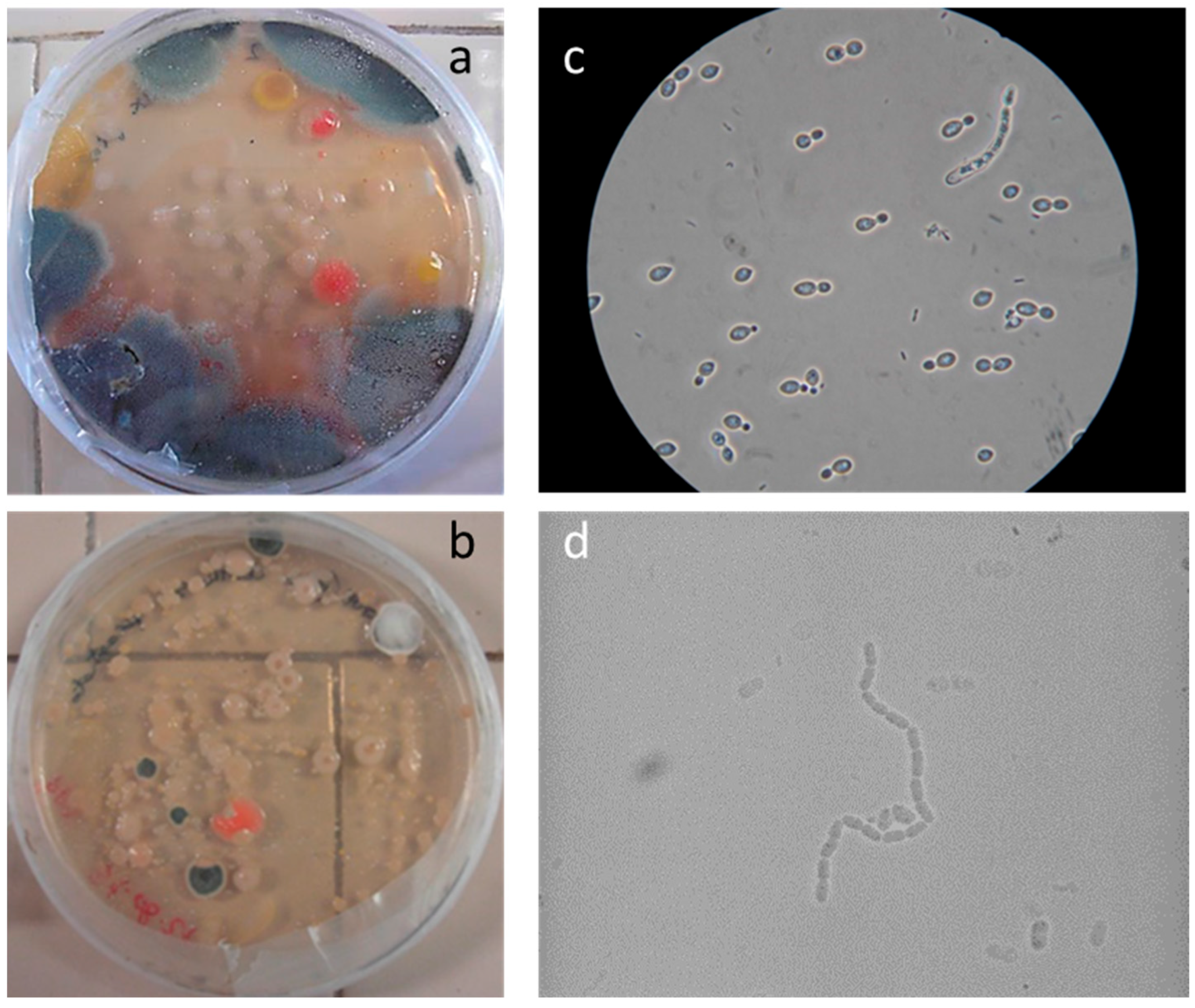 Heritage 07 00069 g001