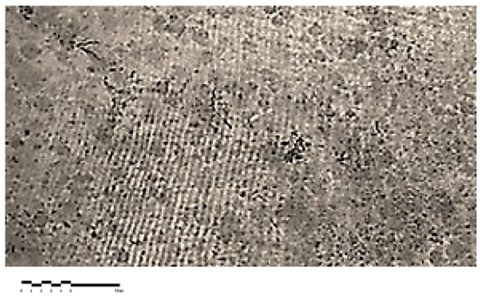 Heritage 07 00069 i005