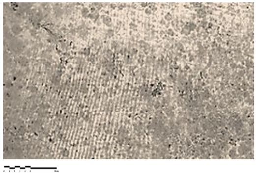 Heritage 07 00069 i007