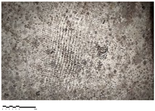 Heritage 07 00069 i008