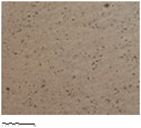 Heritage 07 00069 i009