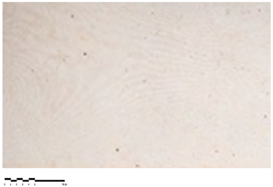 Heritage 07 00069 i014