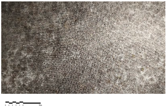 Heritage 07 00069 i020