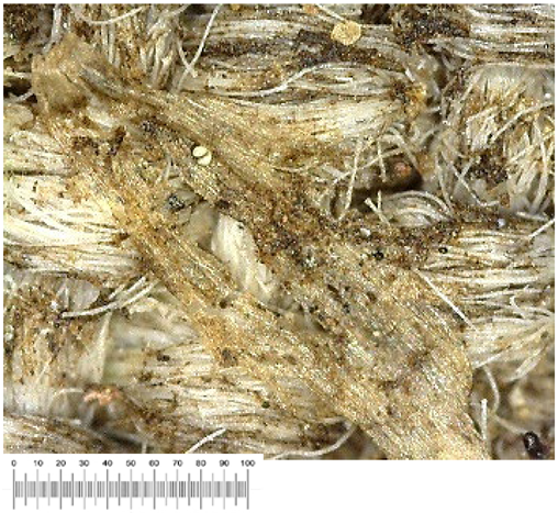 Heritage 07 00069 i023