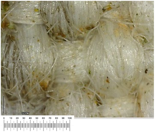 Heritage 07 00069 i026