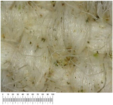 Heritage 07 00069 i027