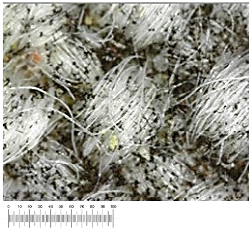 Heritage 07 00069 i033