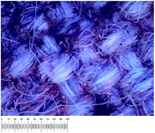 Heritage 07 00069 i037