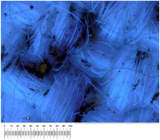 Heritage 07 00069 i041