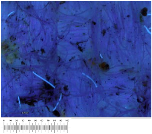 Heritage 07 00069 i042