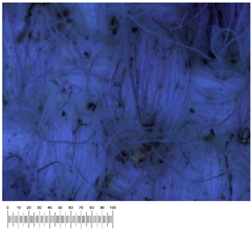 Heritage 07 00069 i043