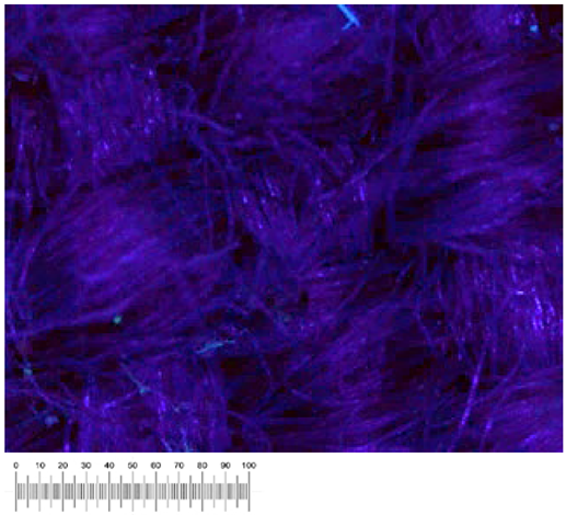 Heritage 07 00069 i051