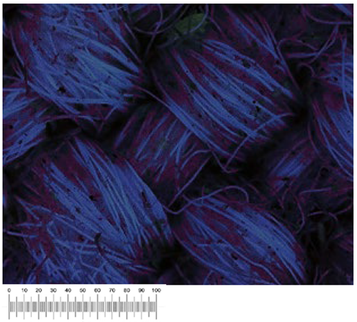 Heritage 07 00069 i052