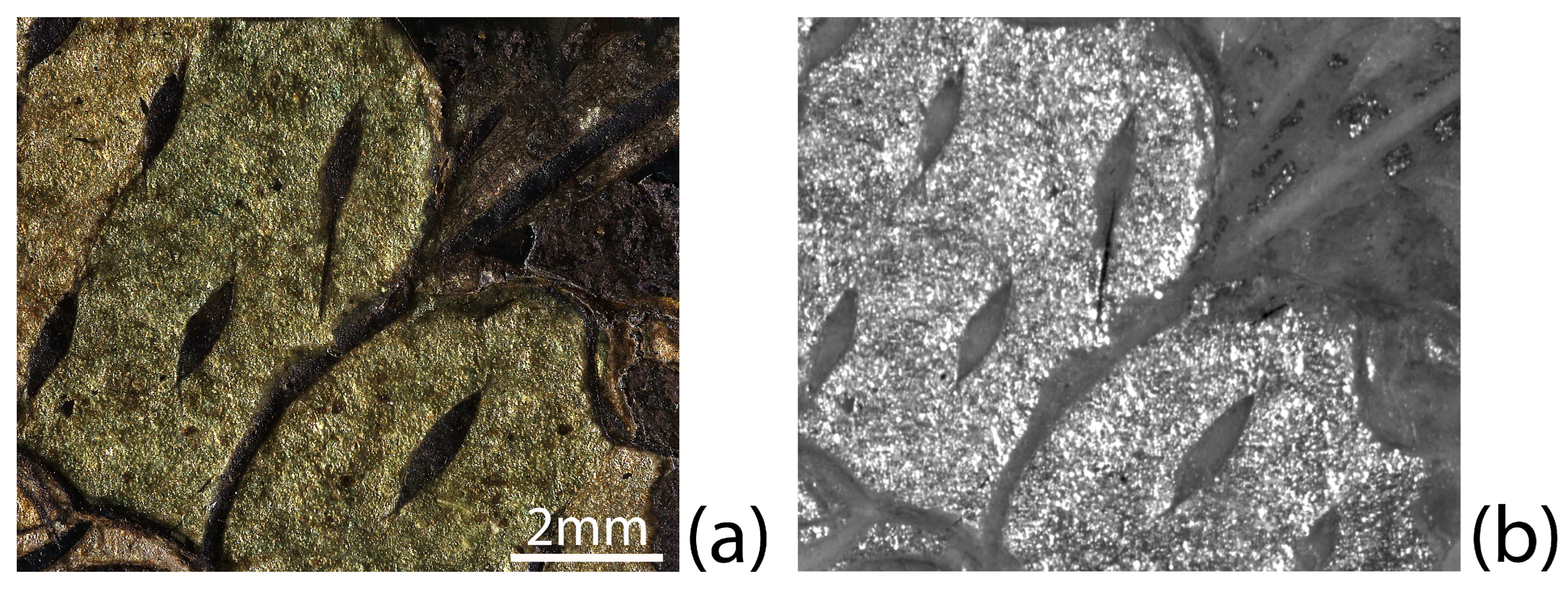 Heritage 07 00075 g018