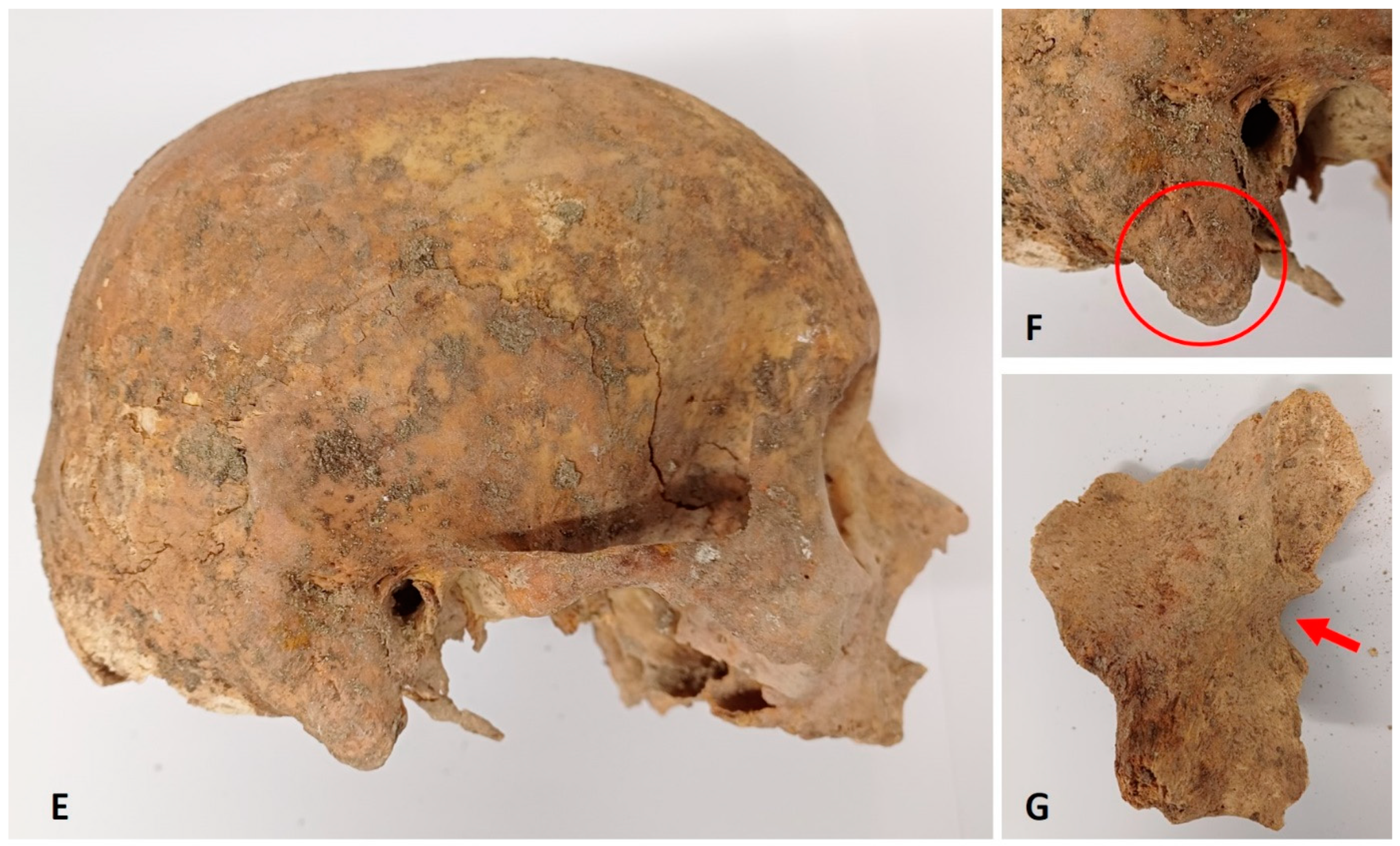 Heritage 07 00159 g006b